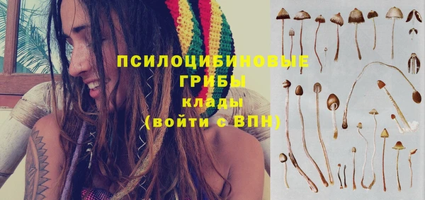 бошки Богородск