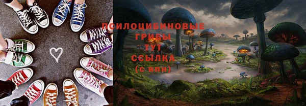 кристаллы Богданович