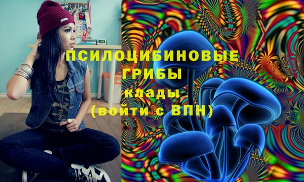 кокаин Богородицк