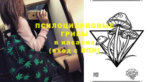 бошки Богородск