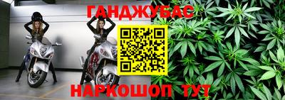 эйфоретик Донской