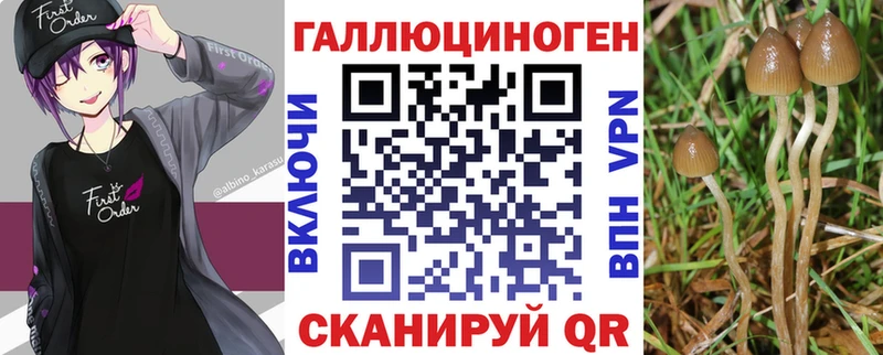Галлюциногенные грибы Magic Shrooms  Наро-Фоминск 