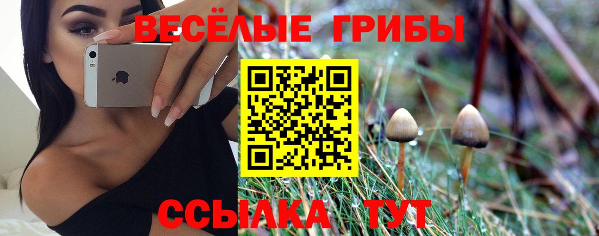 Псилоцибиновые грибы Psilocybine cubensis  Галлюциногенные грибы мухоморы  купить наркоту  Вход с VPN  Наро-Фоминск 